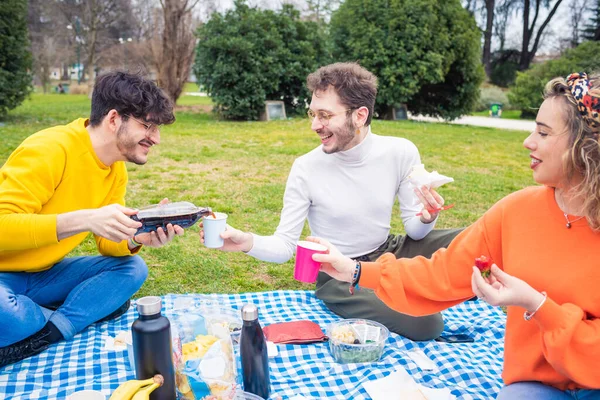 Three Caucasian Friends Having Picnic Park Group Having Fun Celebrating — Stock Photo, Image