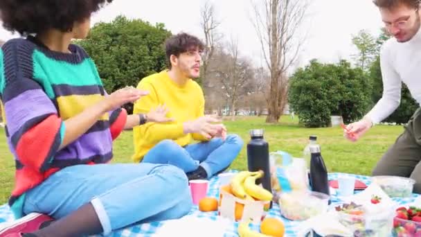 Cuatro Jóvenes Estudiantes Multiétnicos Amigos Aire Libre Haciendo Pic Nic — Vídeos de Stock