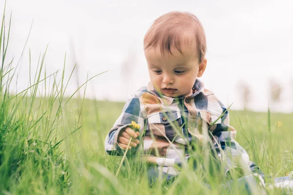 Toddler Holding Flower Outdoor Park — Stock Photo, Image