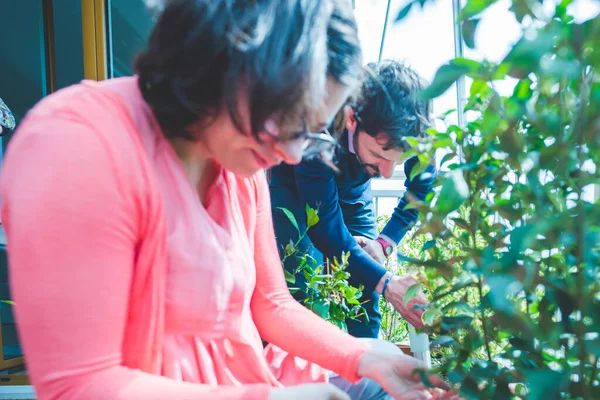 Adult Couple Together Gardening Home Terrace — Stock Photo, Image