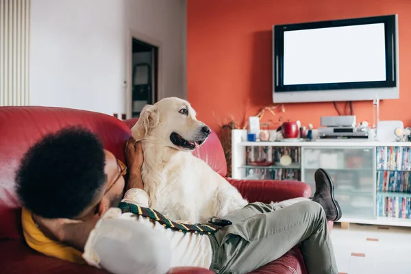 Jonge Zwarte Man Indoor Thuis Ontspannen Met Hond Kijken — Stockfoto