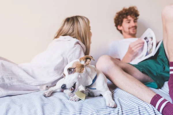 Jong Stel Binnen Thuis Liggend Bed Met Puppy Hond — Stockfoto
