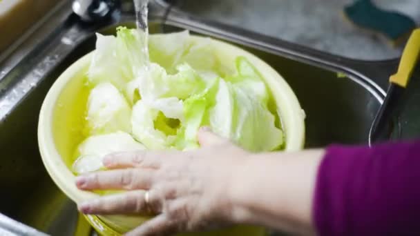 Frau wäscht Salat — Stockvideo