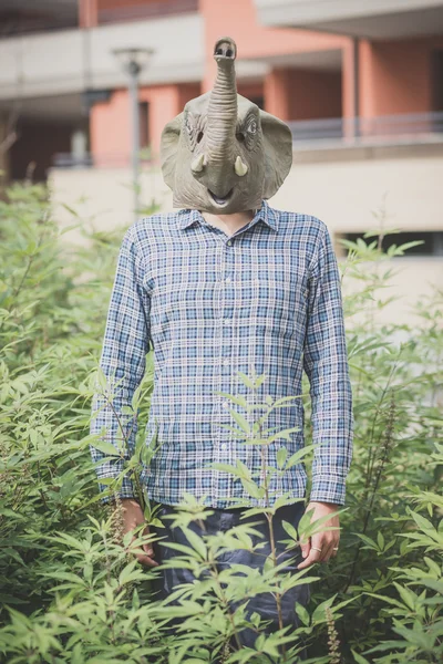 Olifant masker absurd man — Stockfoto