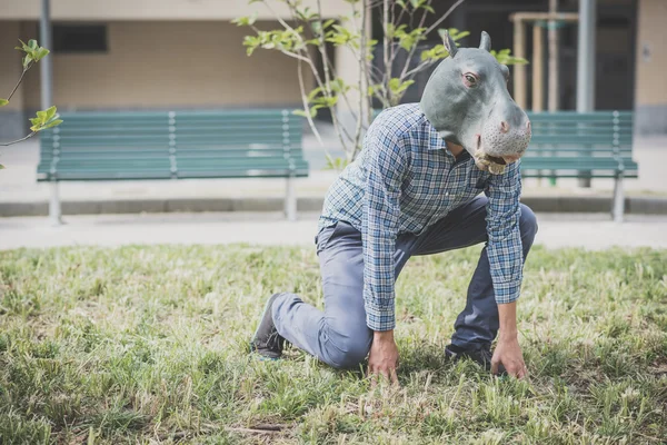 Hippo mask absurd man — Stock Photo, Image