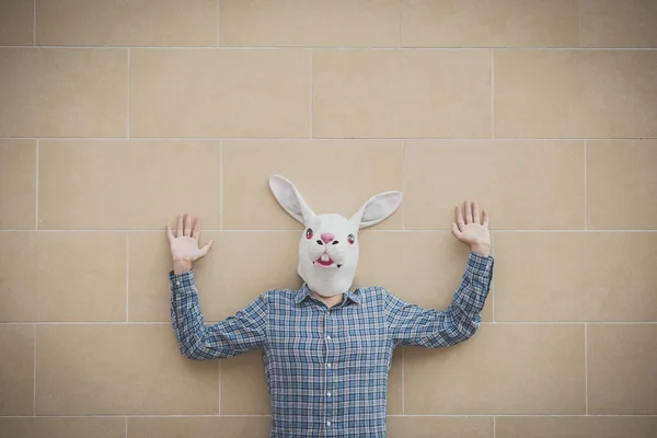 Rabbit mask absurd man — Stock Photo, Image