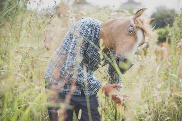 Máscara de cavalo homem absurdo — Fotografia de Stock