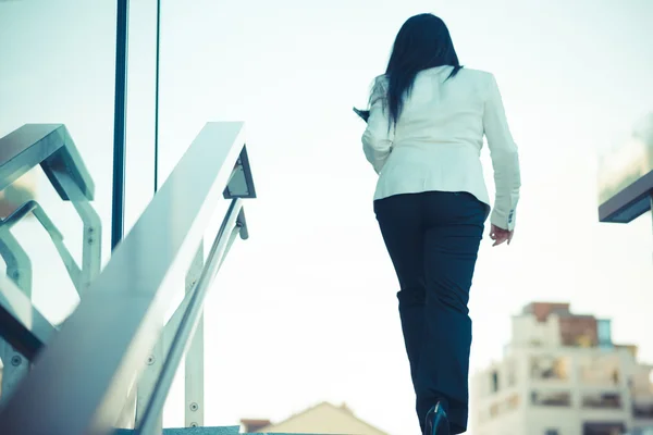 Beautiful long black hair elegant business woman — Stock Photo, Image