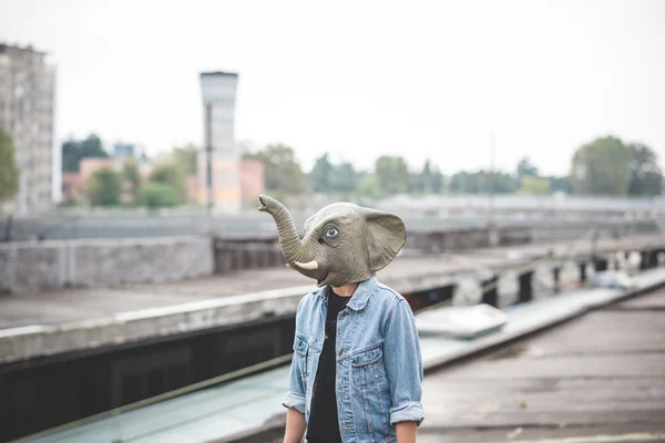 Elephant mask young handsome bearded hipster man — Stock Photo, Image