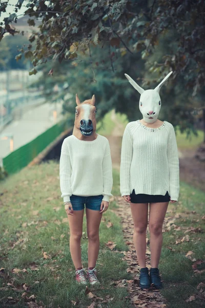 Horse and rabbit mask young couple — Stock Photo, Image