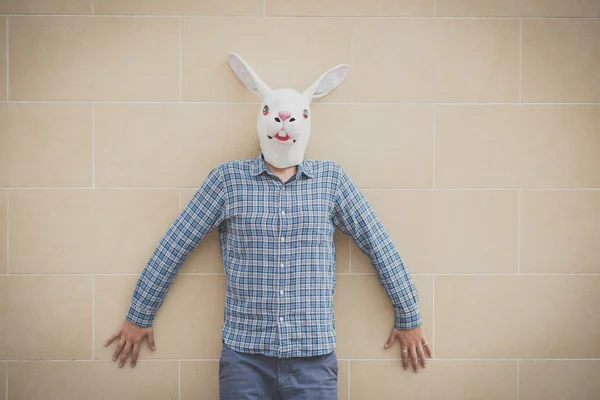 Absurd man in konijn masker — Stockfoto