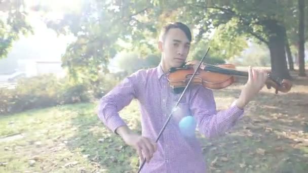 Divertente asiatico uomo giocare violino — Video Stock