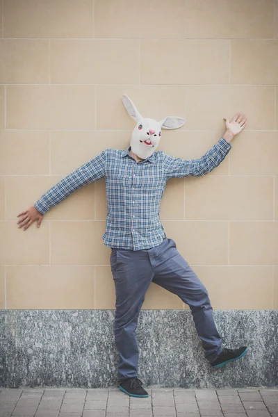 Kaninchenmaske absurder Mann — Stockfoto
