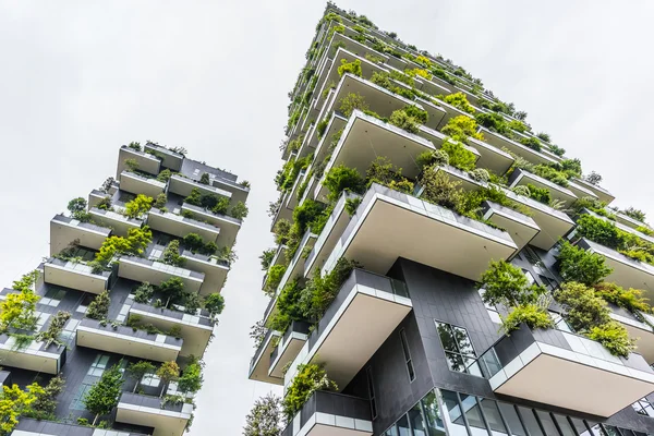 Bosco verticale Milano 2015
