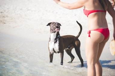 Sahilde güzel esmer kadın