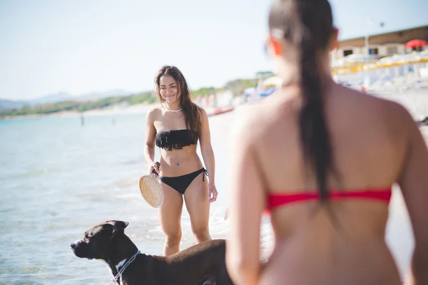 Przyjaciele na plaży z psem — Zdjęcie stockowe