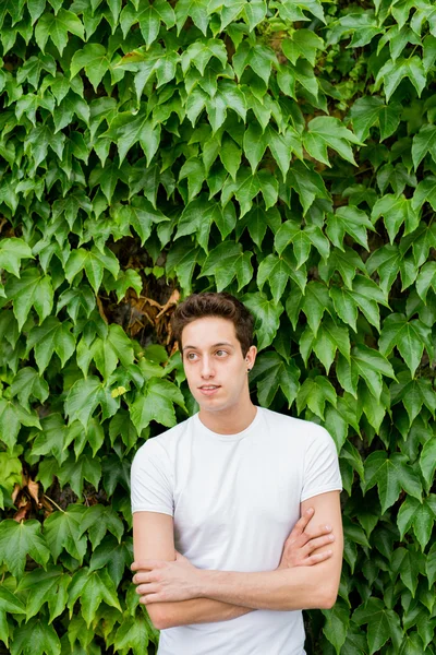 Caucasian brown hair man — Stock Photo, Image