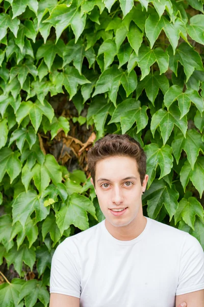 Handsome caucasian brown hair man — Stock Photo, Image