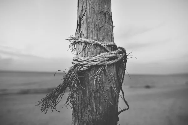 Pole in the beach with rope — Stock Photo, Image