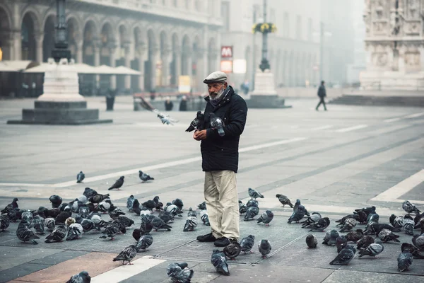 Oude man voeden duiven in Milaan — Stockfoto