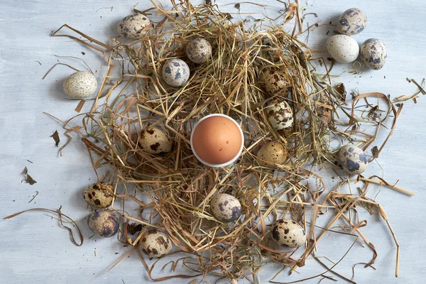 Ägg i hö häckar på gamla träbord bakgrund. — Stockfoto