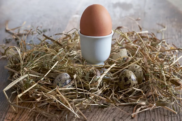 Ägg i hö häckar på gamla träbord bakgrund. — Stockfoto