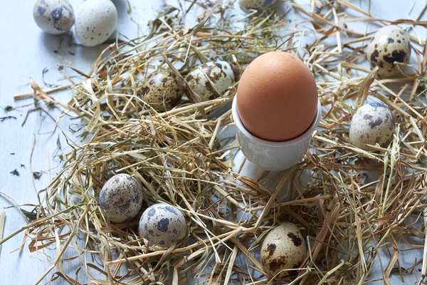 Eski ahşap masa arka plan üzerinde saman yuvadaki yumurta. — Stok fotoğraf