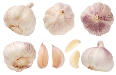 Sarımsak izole üzerinde beyaz arka plan ayarlayın. Üstten görünüm.