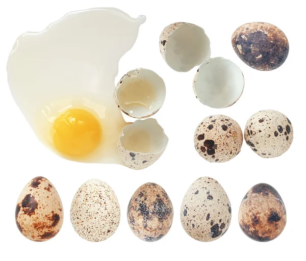 Quail eggs whole and broken collection, isolated on white with c — Stock Photo, Image