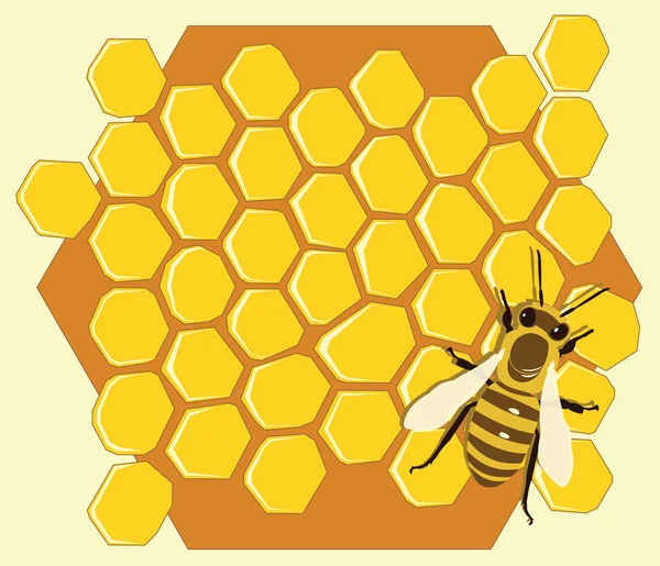 Фон с пчелами и сотами. Векторная иллюстрация . — стоковый вектор