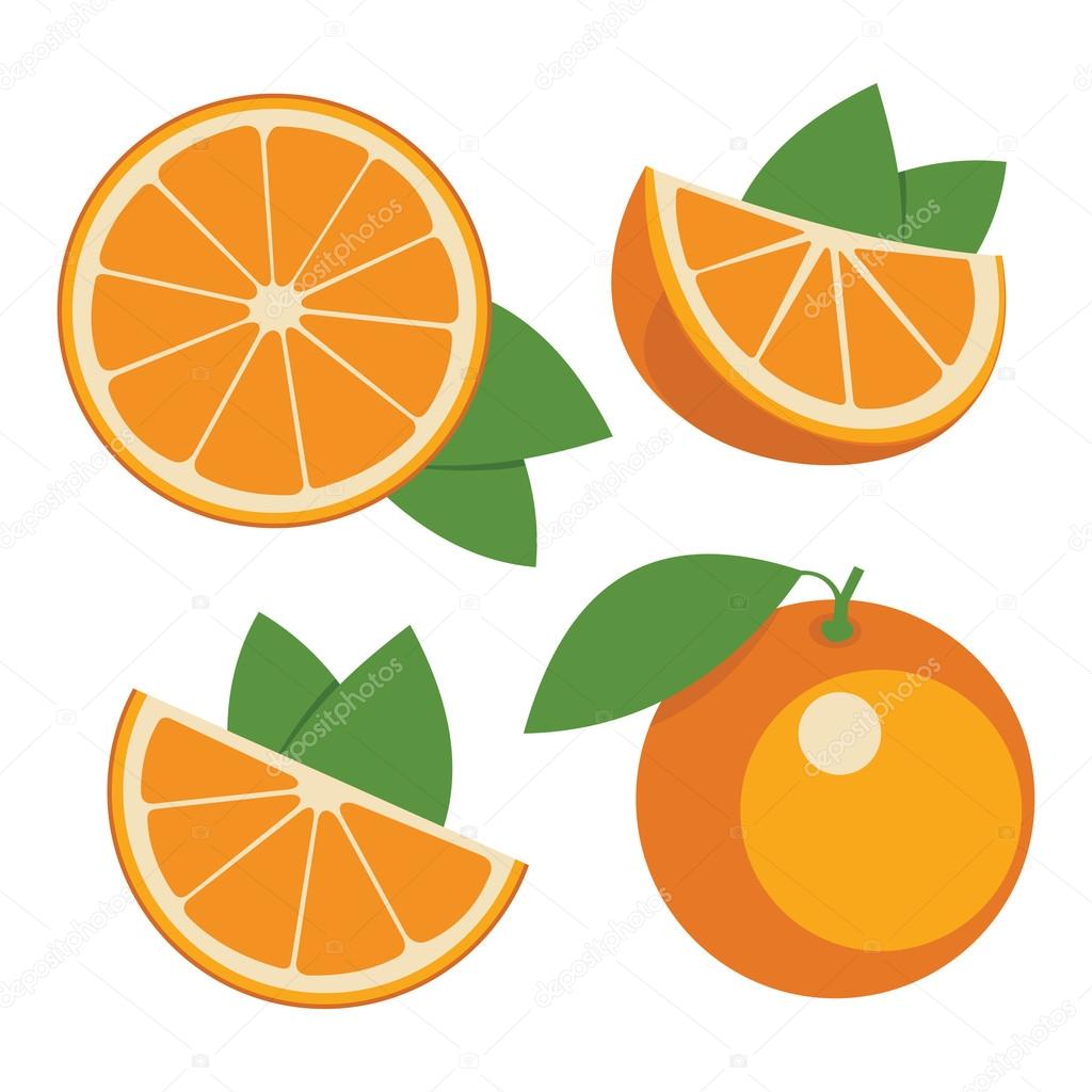 Oranges Collection Of Whole And Sliced Orange Fruits Vector I Vector Image By C Lexa7575 Vector Stock Oranges Collection Of Whole And Sliced Orange Fruits Vector I Vector Image By C Lexa7575 Vector Stock