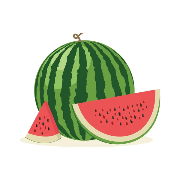 Frische und saftige ganze Wassermelonen und Scheiben. Vektor illustratio — Stockvektor