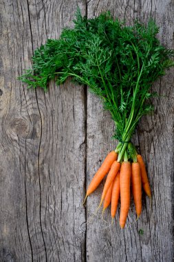 havuç yaprakları ile