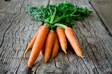 havuç yaprakları ile