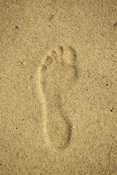 Footprint in the sand — Stock Photo, Image