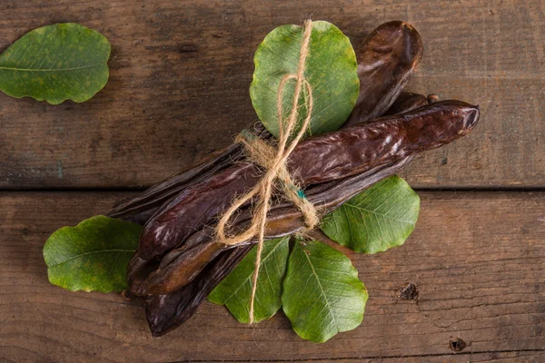 Carob, ceratonia siliqua — Stock Photo, Image