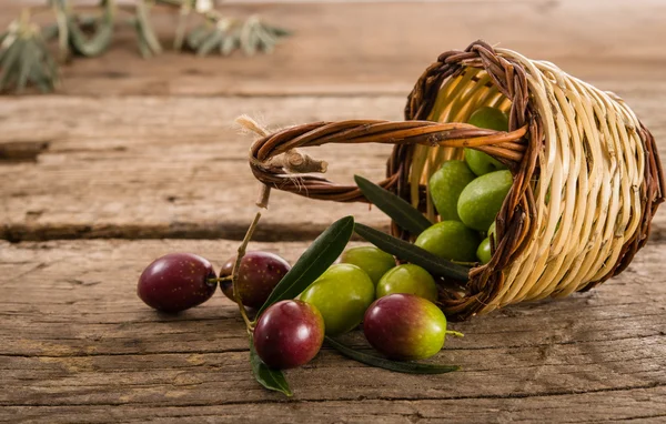 Fresh green olives — Stock Photo, Image