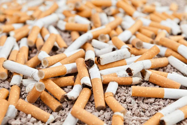 Chaos des cigarettes tombées — Photo
