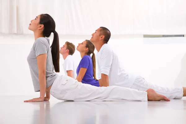 Diverse group of people practicing yoga — Stok fotoğraf