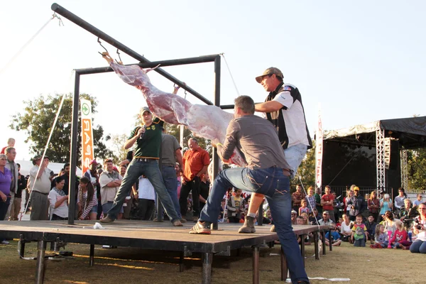 Traditional Deer Skinning Contest at Game Festival