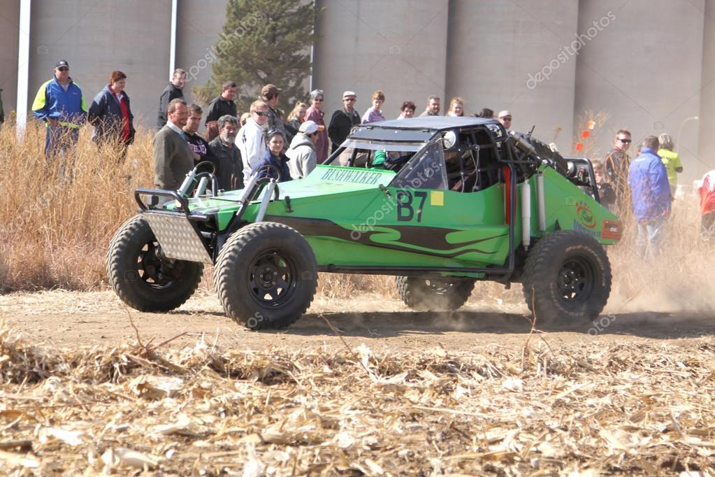 custom buggy