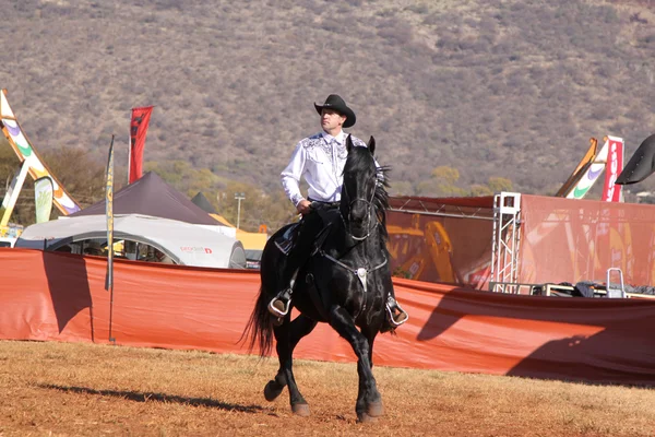 Armand o cowboy cantando em seu garanhão preto — Fotografia de Stock