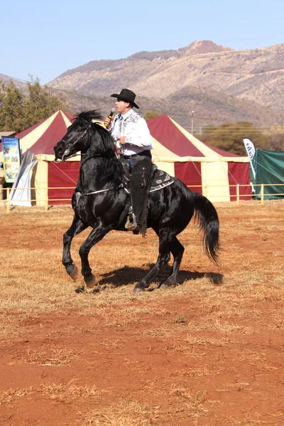 Armand il cowboy canterino sul suo stallone nero — Foto Stock