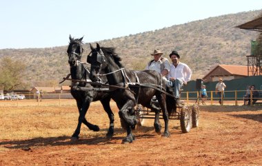Çekerek sepeti güzel siyah be dörtnala atlar.