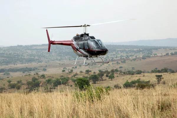 Helicopter used to dart animals from air