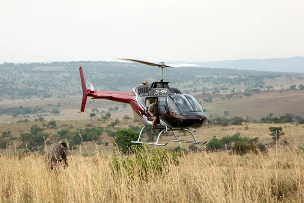 Helicóptero utilizado para lanzar animales desde el aire — Foto de Stock