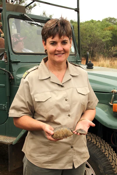 Gauteng Department of Nature Conservation representative showing — 图库照片