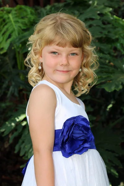 Entzückendes kleines blondes Mädchen posiert im Kleid — Stockfoto