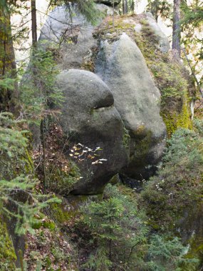 Adrszpach - rock city