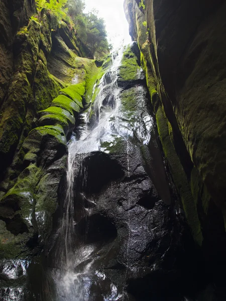 Adrszpach - rock city — Stok fotoğraf